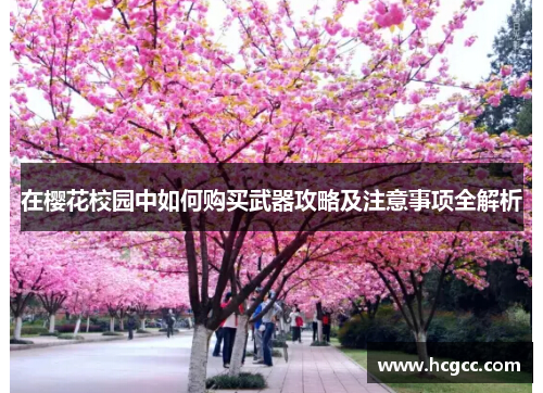 在樱花校园中如何购买武器攻略及注意事项全解析